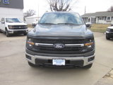 New 2025 Ford F150 XLT w/ Equipment Group 303A High image 2