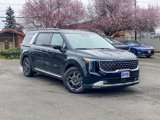 New 2025 Kia Carnival SX image 2