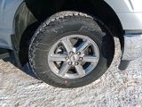 New 2025 Ford F150 XLT image 3