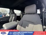 Certified 2024 Ford F150 XLT w/ Equipment Group 302A MID image 3