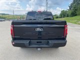 New 2025 Ford F150 XLT image 3