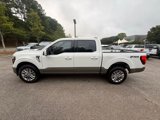 New 2025 Ford F250 Platinum image 3