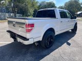 Used 2013 Ford F150 Platinum image 5