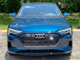 Used 2021 Audi e-tron Premium w/ Convenience Plus Package image 2