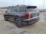 New 2025 Hyundai Palisade XRT image 4