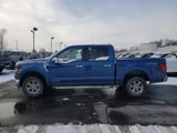 New 2025 Ford F150 XLT w/ Equipment Group 302A MID image 5