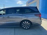 New 2025 Honda Odyssey Elite image 4