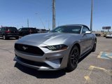 Used 2022 Ford Mustang Premium image 4