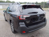 Used 2023 Subaru Outback Premium image 4