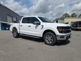 New 2025 Ford F150 XLT image 2
