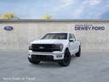 New 2025 Ford F150 Platinum image 2