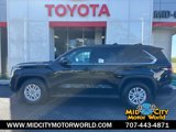 View Video