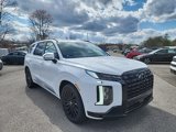 New 2025 Hyundai Palisade Calligraphy image 5