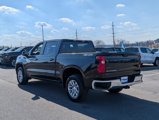 Used 2023 Chevrolet Silverado 1500 LT image 4