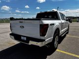 Used 2024 Ford F150 Lariat image 4