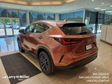 New 2025 Lexus NX 350h AWD w/ Premium Package image 5