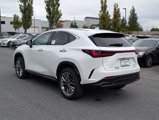 New 2026 Lexus NX 350 AWD w/ Premium Package image 4