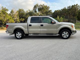 Used 2010 Ford F150 XLT image 5