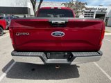 Used 2015 Ford F150 XLT image 5