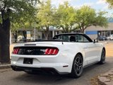 Used 2022 Ford Mustang Premium image 2