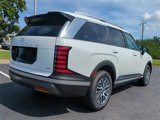 New 2026 Hyundai Palisade SEL image 4