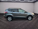 Used 2014 Ford Escape SE w/ Equipment Group 201A image 6