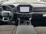New 2025 Ford F150 XLT w/ Equipment Group 302A MID image 2