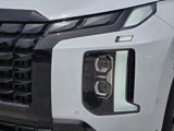 New 2025 Hyundai Palisade Calligraphy image 5