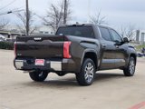New 2025 Toyota Tundra 1794 Edition image 3