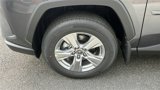 New 2025 Toyota RAV4 XLE image 5