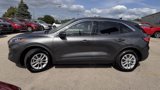 Used 2020 Ford Escape SE image 4