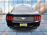 Used 2020 Ford Mustang Coupe image 5