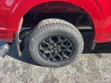 New 2025 Ford F150 XLT w/ Equipment Group 302A MID image 5