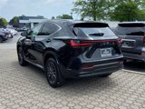 Certified 2024 Lexus NX 350 AWD w/ Premium Package image 6