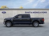 New 2025 Ford F150 XLT w/ Equipment Group 301A Standard image 3