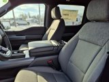 New 2025 Ford F150 XLT w/ Equipment Group 302A MID image 4