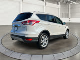 Used 2016 Ford Escape Titanium image 3
