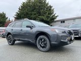 New 2025 Subaru Outback Wilderness image 2