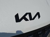 New 2026 Kia Carnival SX Prestige image 4