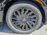 New 2025 Hyundai Palisade Calligraphy image 6