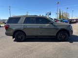 Certified 2024 Ford Expedition Timberline image 3