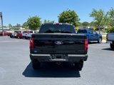 New 2025 Ford F150 XLT w/ Equipment Group 303A High image 5