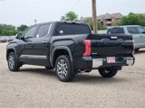 New 2025 Toyota Tundra 1794 Edition image 4