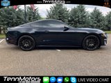 Used 2021 Ford Mustang GT Premium w/ Equipment Group 401A image 3