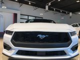 Used 2024 Ford Mustang Premium image 3