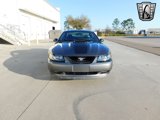 Used 2004 Ford Mustang Mach 1 image 2