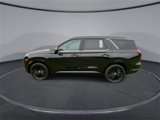 New 2025 Hyundai Palisade Calligraphy image 5