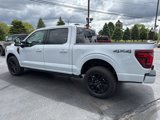 New 2025 Ford F150 Platinum image 5