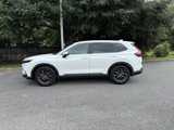 Used 2026 Honda CR-V EX-L image 2
