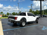 Used 2020 Ford F150 Raptor w/ Equipment Group 802A Luxury image 3
